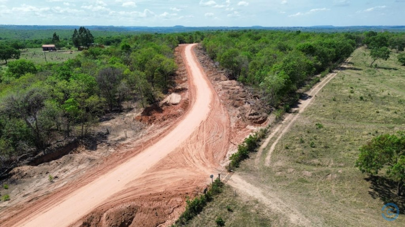 Trabalhador Morre Ap S Ser Atacado Por Enxame De Abelhas Em Camapu