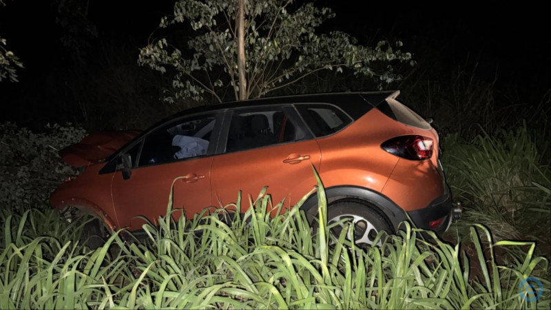 Motorista atropela anta na MS-141 e carro vai parar em ribanceira em rodovia