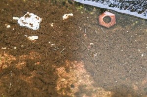 Adolescente que cumpre medida na Unei é diagnosticada com zika vírus