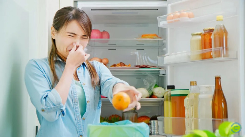 Cinco truques que ajudam a eliminar cheiros ruins da geladeira